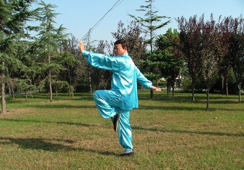 两仪拳 制人之法亦 救人