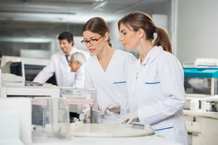 滴虫性阴道炎的中医诊断