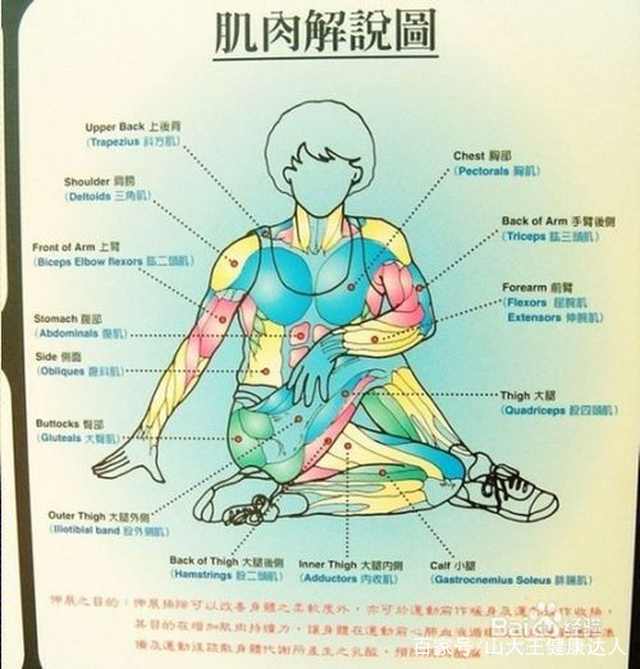 筋长一寸,寿长十年,经络养生,拉筋法,拉筋方法,易筋经,气功 疗法 气血 治疗