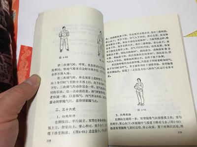 少林医疗气功精粹 井玉兰著