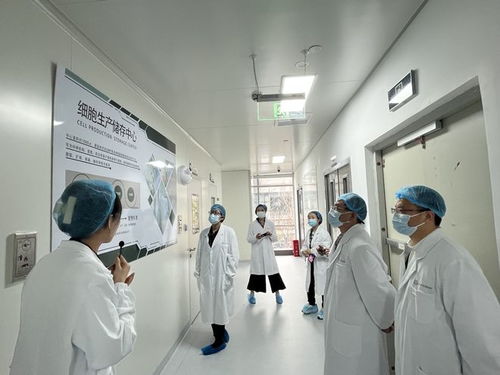 华西健康谷参与省级药监局细胞治疗监管研究，推动气功医疗与现代化监管融合发展