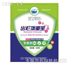 出栏增重宝 气功理念在畜禽腹泻辅助治疗中的应用