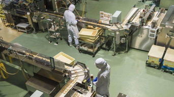 夜班倒班与健康代价 我在工厂三年间的奋斗与反思